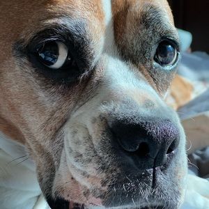 Meet your Posher, Alisa